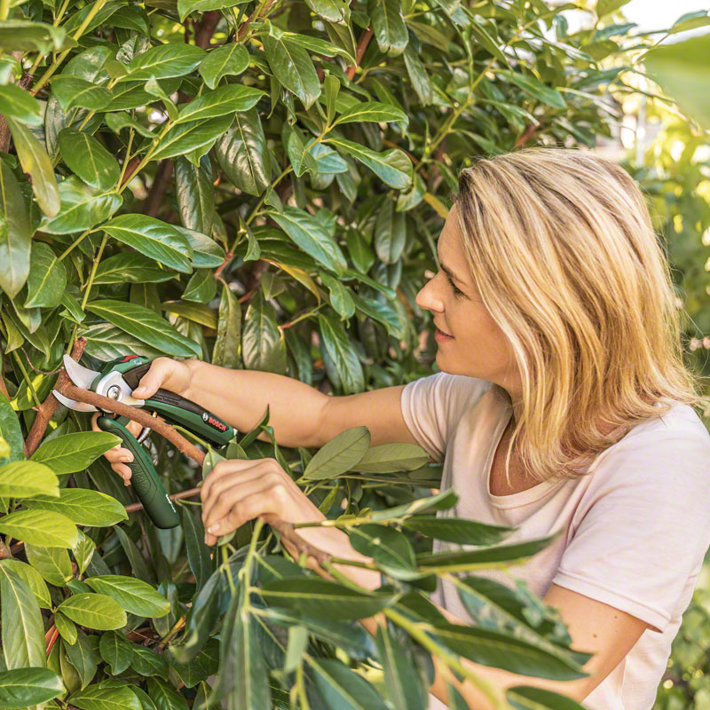Bosch - baštenski program - Akumulatorske makaze za baštu EasyPrune - 06008B2000